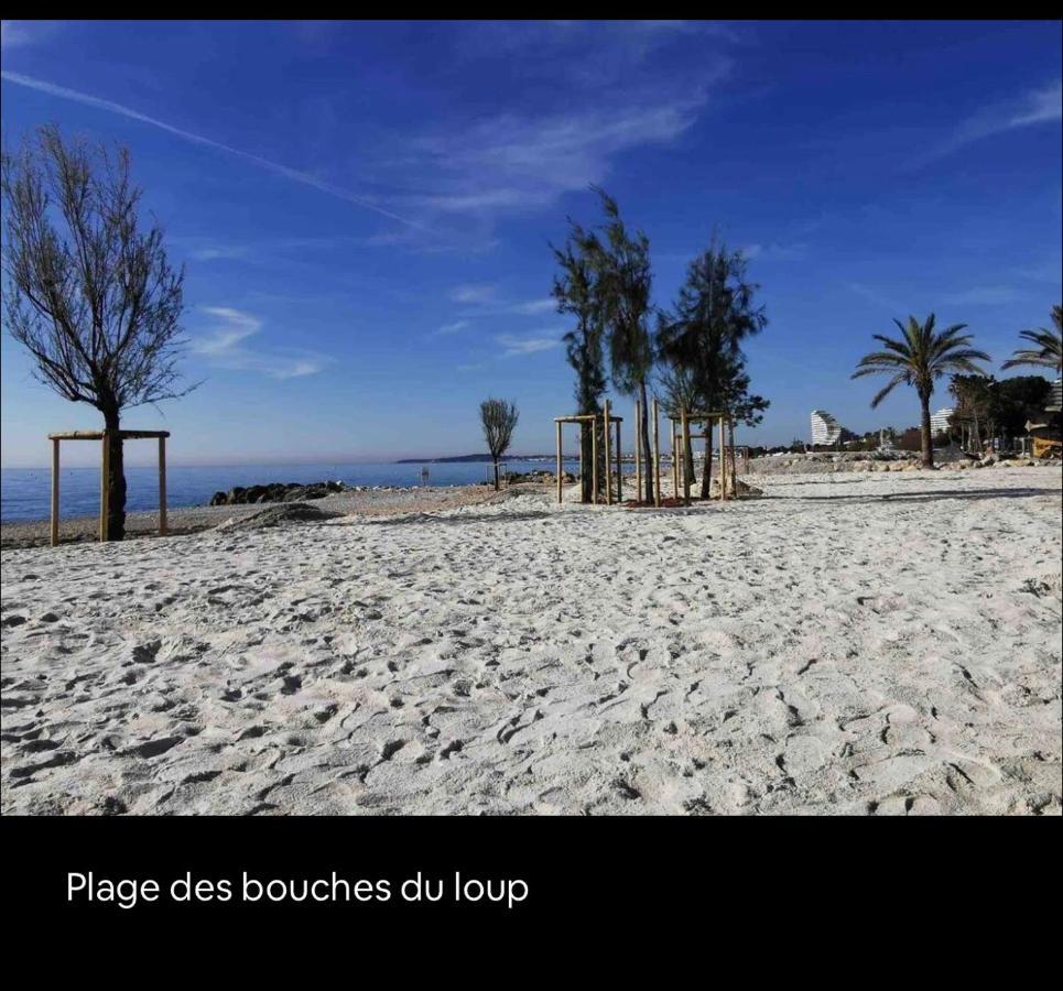 Loft Marina Direct Plage Apartment Villeneuve-Loubet Luaran gambar